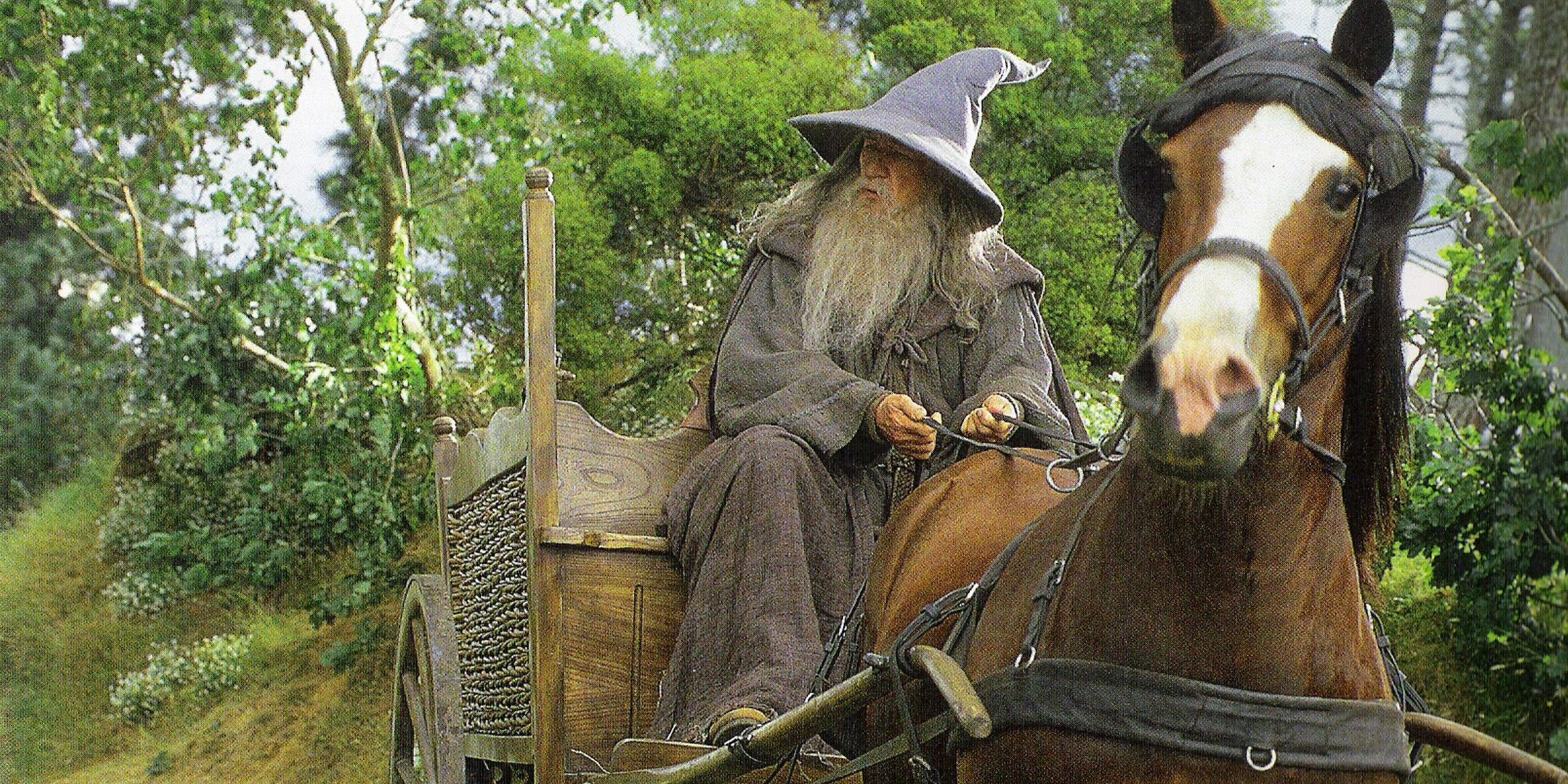 What Song Ian McKellen's Gandalf Sings At The Shire In The Lord Of The Rings (& Why Its Important)