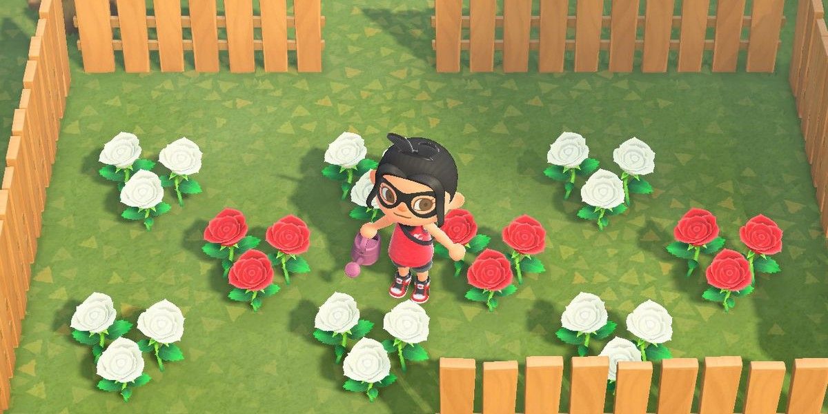 Animal Crossing New Horizons Where to Find Roses Screen Rant