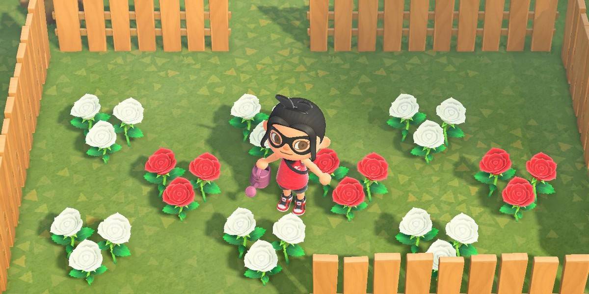 Animal Crossing New Horizons: Where to Find Roses