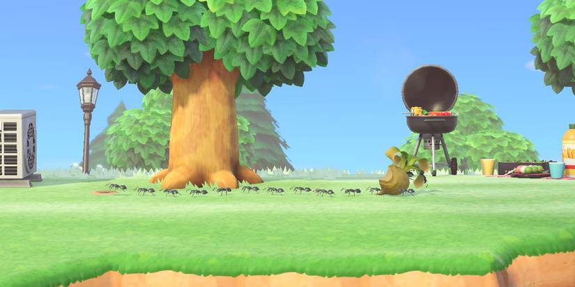 Animal Crossing New Horizons: Bug Catching Guide (Tips & Tricks)