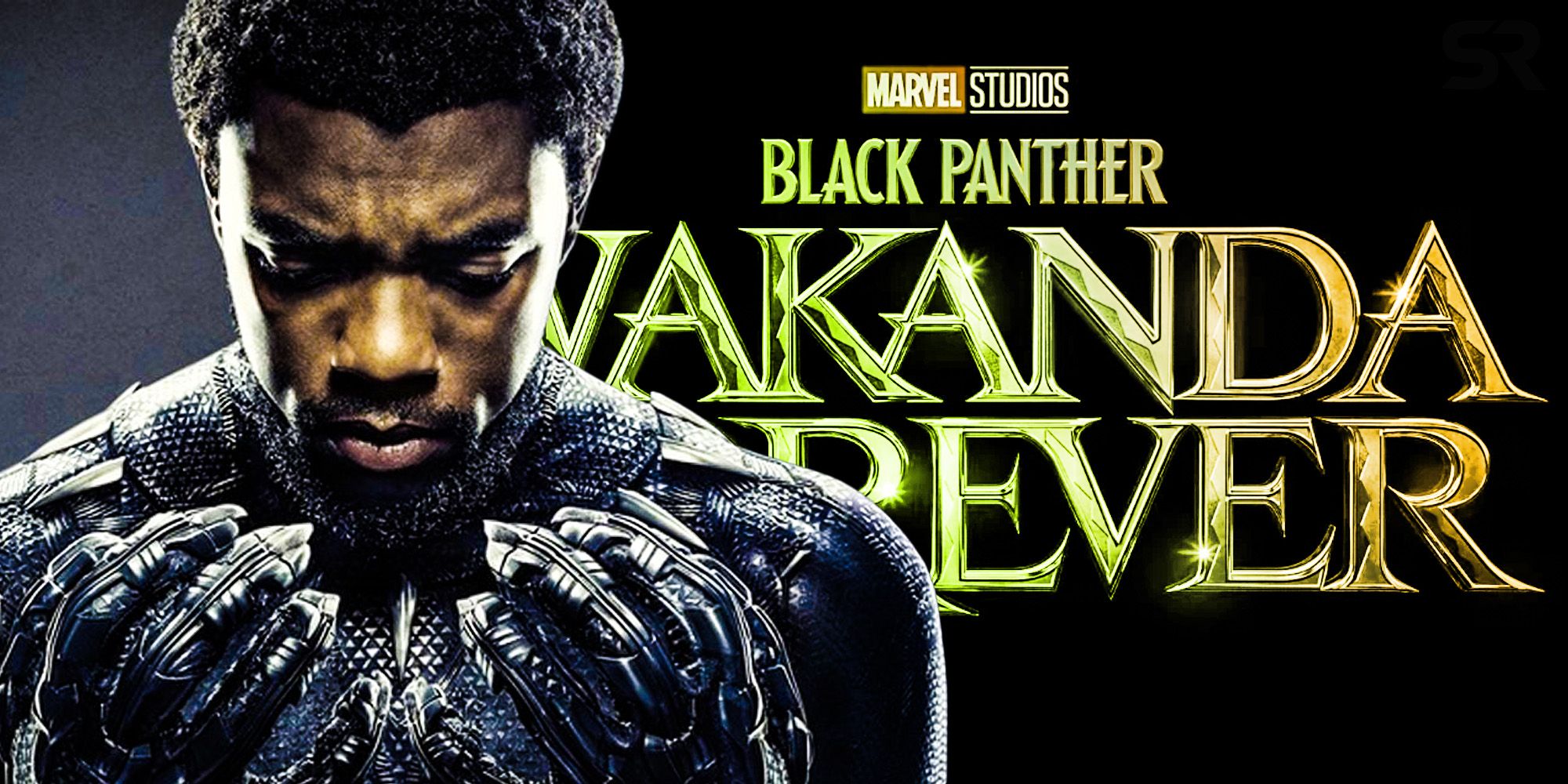 Wakanda Forever: Black Panther 2's New Title Explained (& Why It's Perfect)