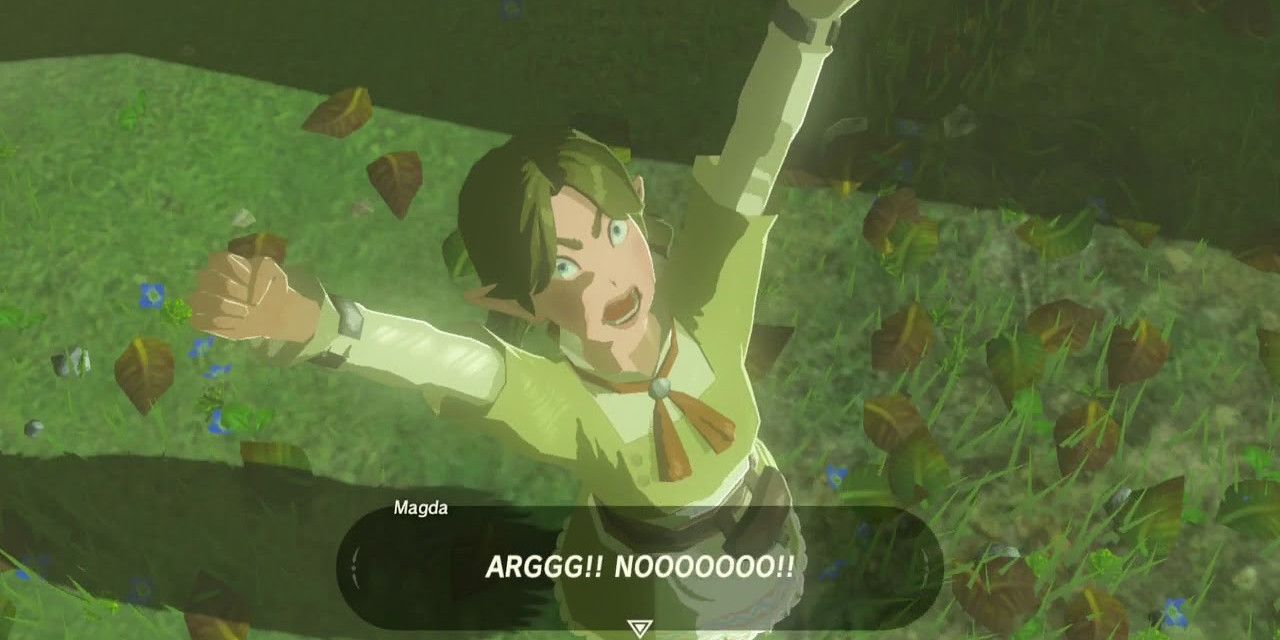 Picture of Magda from The Legend Of Zelda: Breath Of The Wild. She's the woman who gets really pissed and scary if you walk on her flowers.