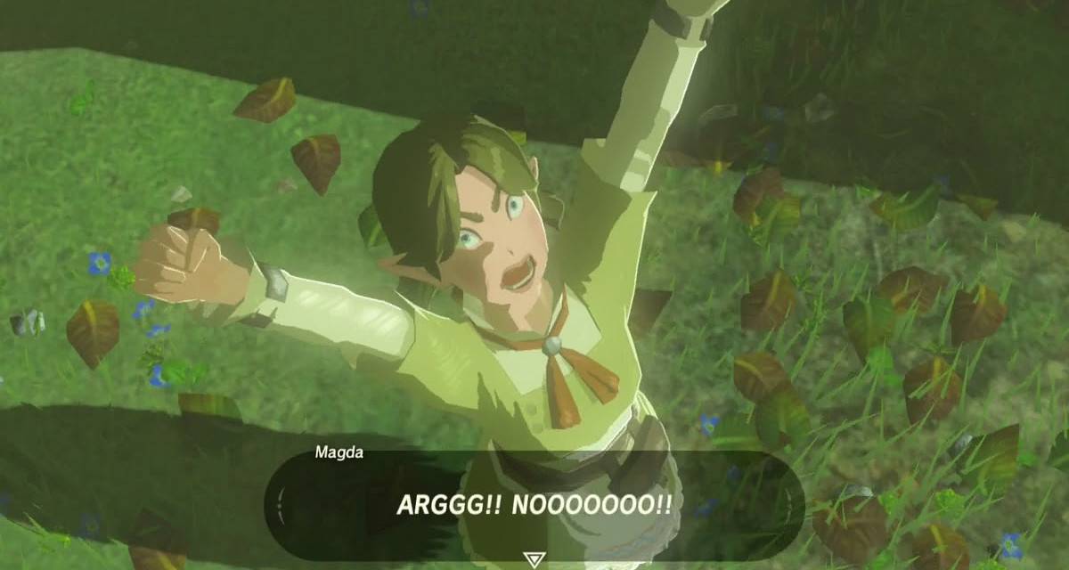Breath Of The Wild's Ganon Used To Take Revenge On Annoying Flower Lady