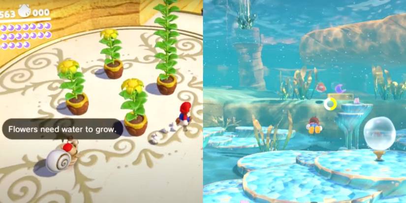10 Common Tropes In Almost Every Mario Game