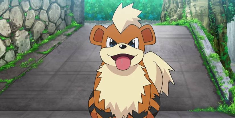 Lithe Dog Dog Pokémon To Make The Best Team Of Goodest Boys
