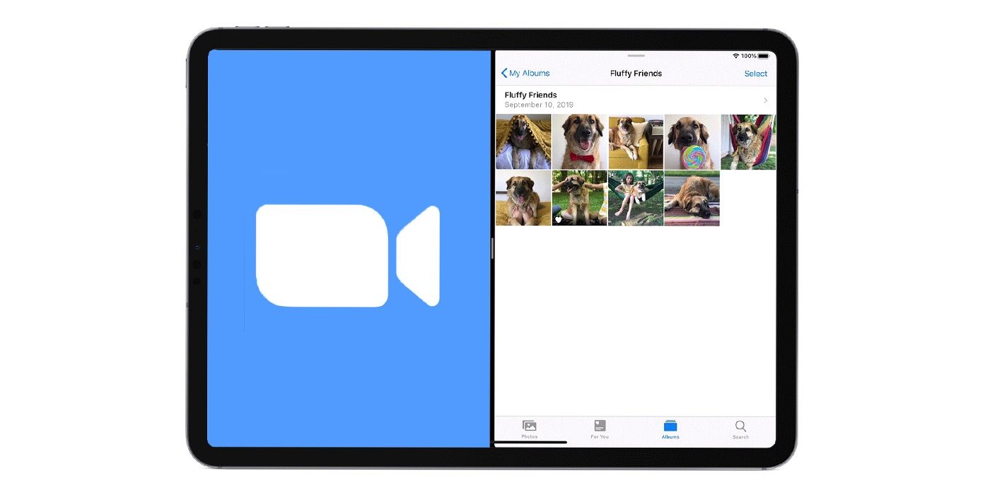 Apple Provided Zoom With Unique Access To iPad's Split View
