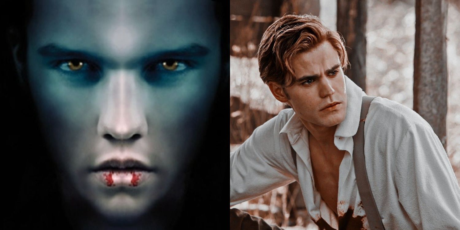 The Vampire Diaries 10 Differences Between Stefan In The Books The Show