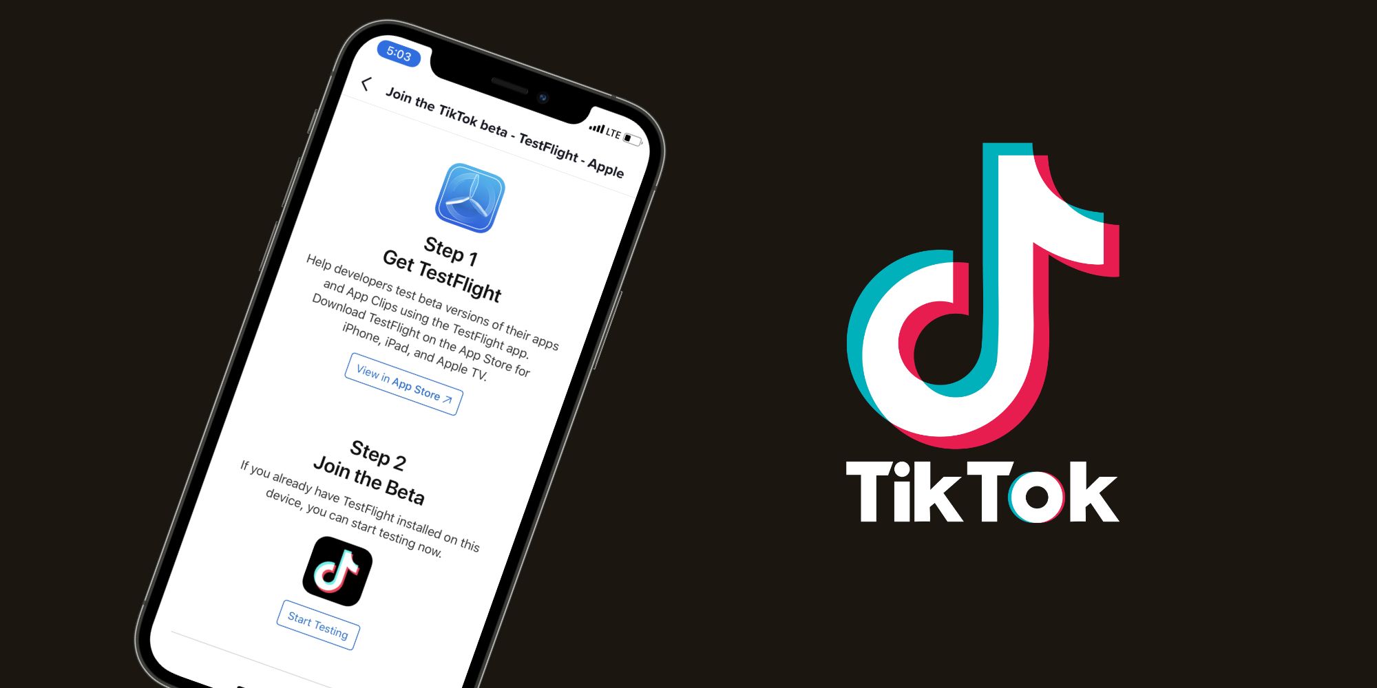 https://static0.srcdn.com/wordpress/wp-content/uploads/2021/05/tiktok-beta-app-iphone.jpg