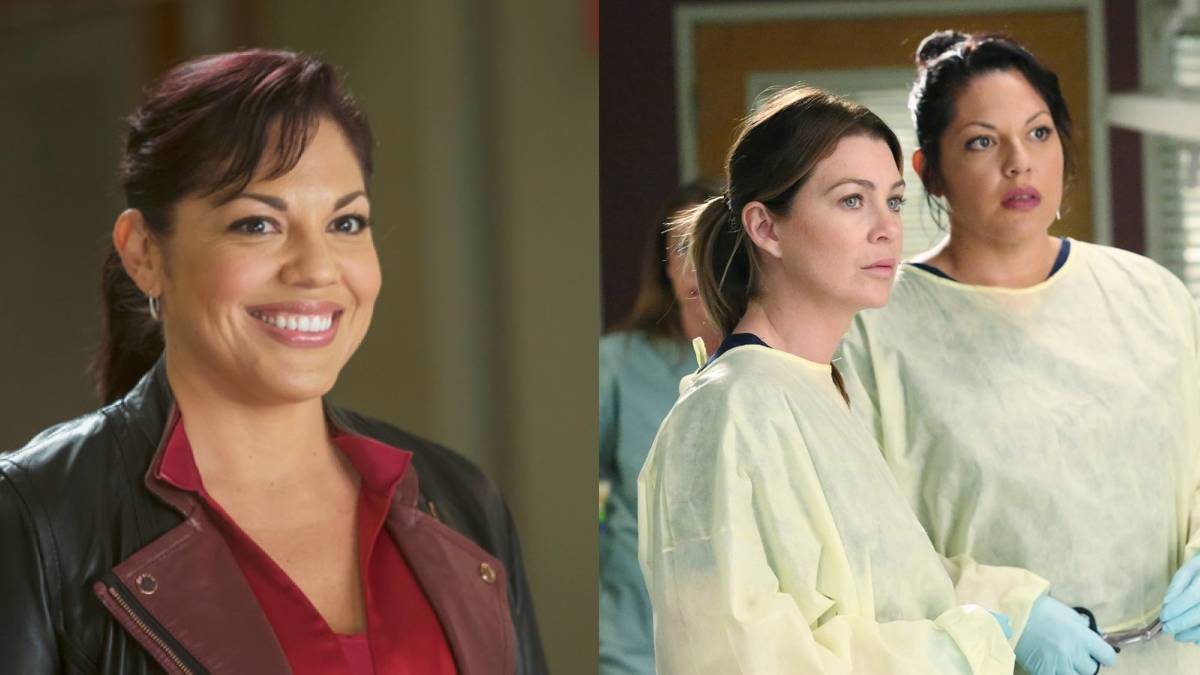 Grey's Anatomy: 8 Innovative Surgeries That Should've Won Callie The ...