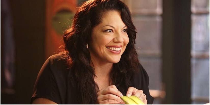 Grey's Anatomy: Why Sara Ramirez's Callie Left After Season 12