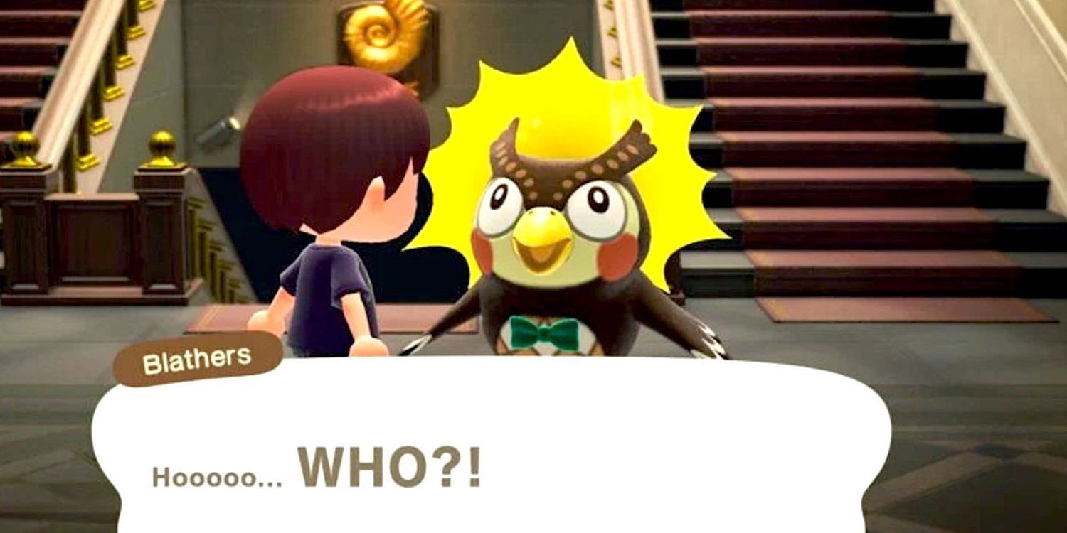 Animal Crossing New Horizons Why Blathers Hates Bugs