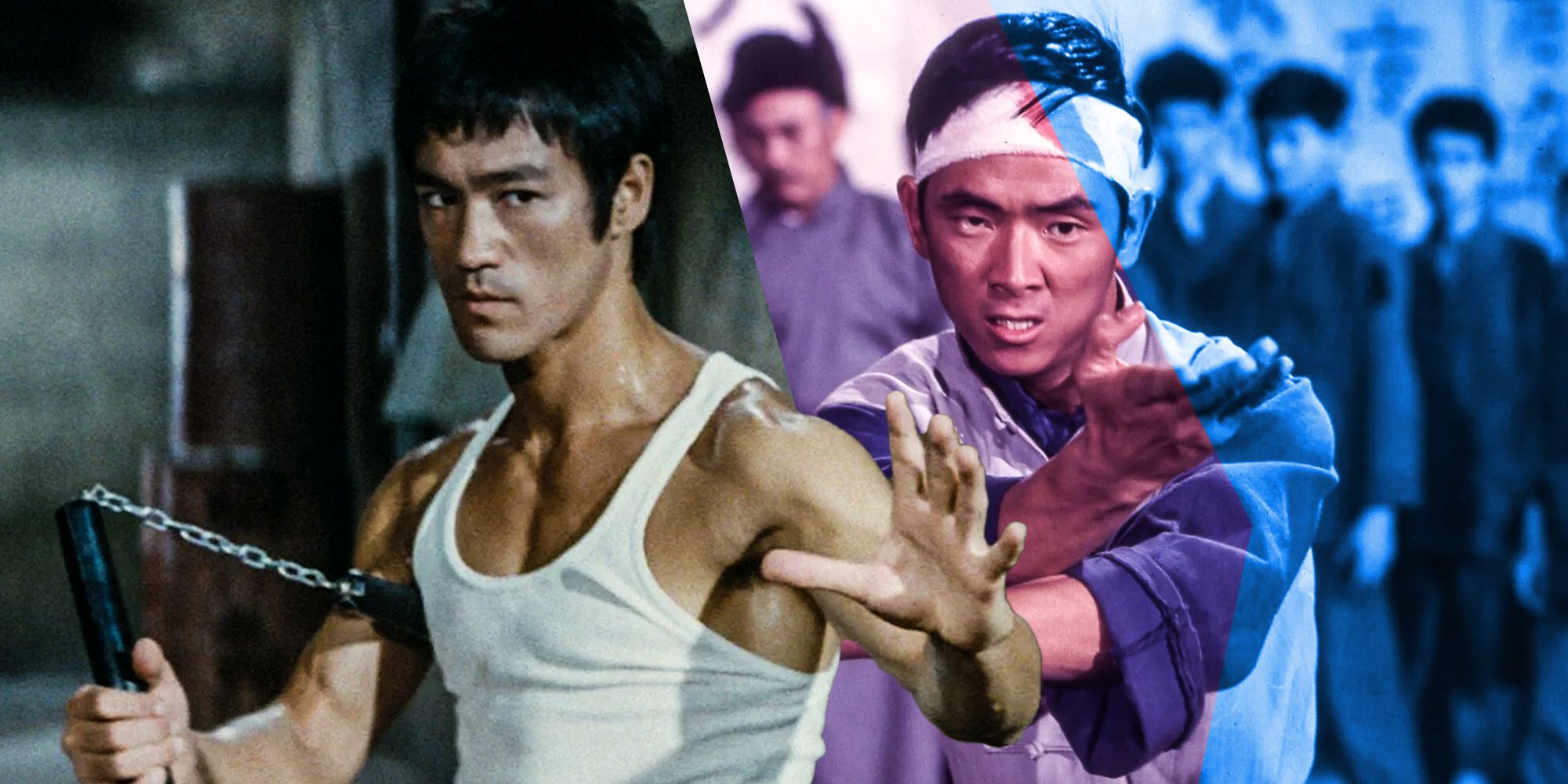 The One Martial Arts Star Bruce Lee Wanted To Surpass