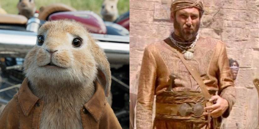 Benjamin Rabbit Real Peter Rabbit 2 Cast & Character Guide: What The Voice Actors Look Like