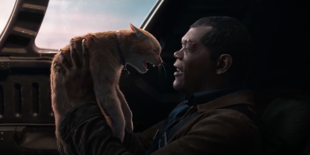 Goose hisses at Nick Fury in Captain Marvel Cropped