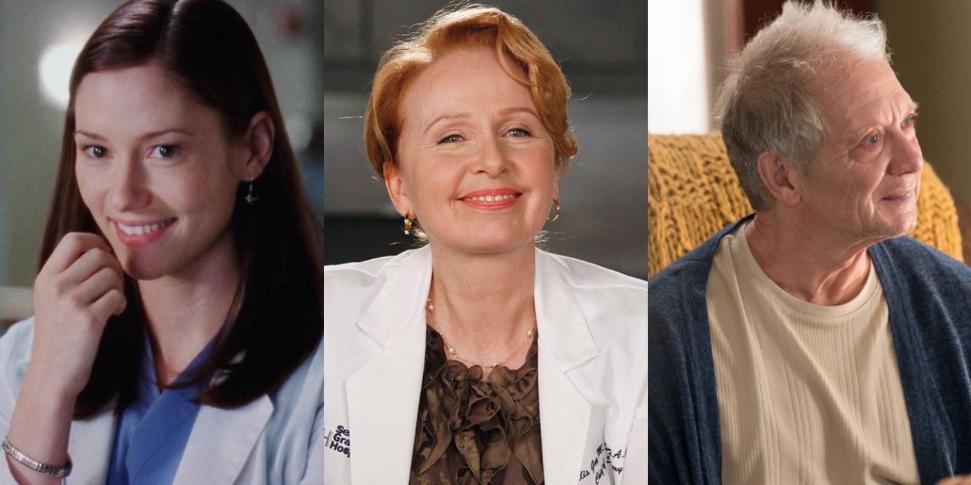 Grey's Anatomy All Of Meredith's Family Members, Ranked By Likability