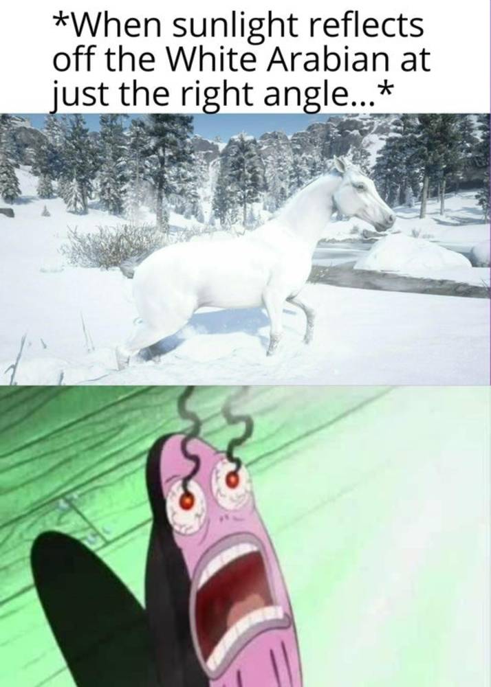 Red Dead Redemption 2: 10 Horse Memes That Are Too Funny
