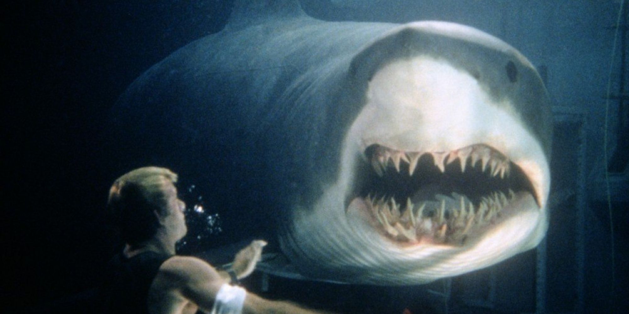 Under Paris' Main Villain Creates A Surprising Connection To A 25-Year-Old Shark Movie