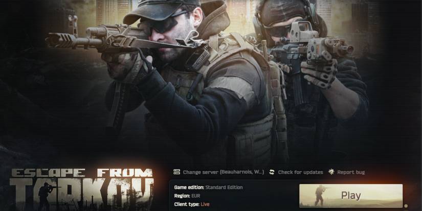 The Undetectable Tarkov Cheats Statements