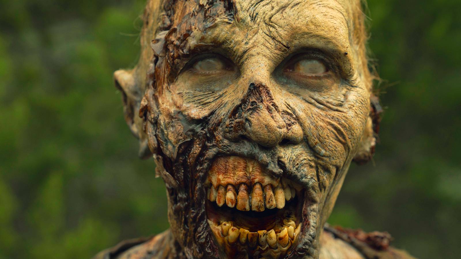 Fear the Walking Dead Almost Released an Episode With Zero Zombies, image size:1600x900