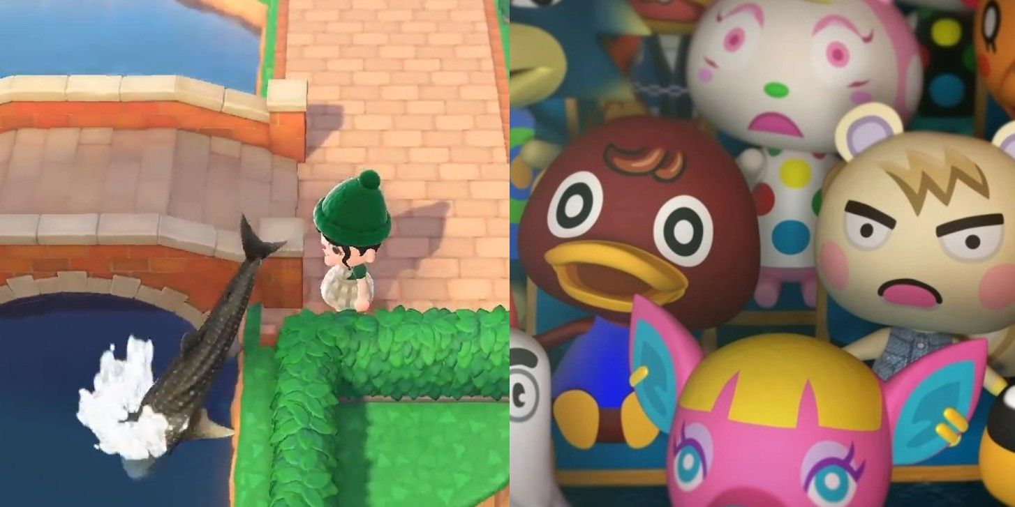 Щедрый игрок в Animal Crossing выбрасывает акул и наполеоновскую рыбу