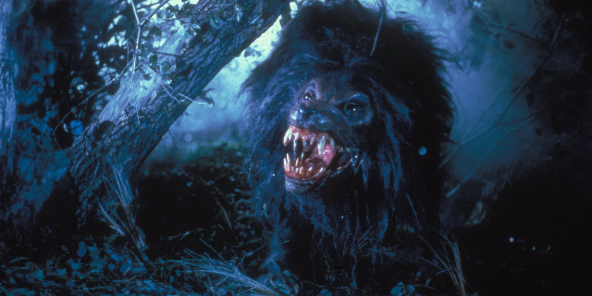 The Howling Franchise Ranked Worst To Best