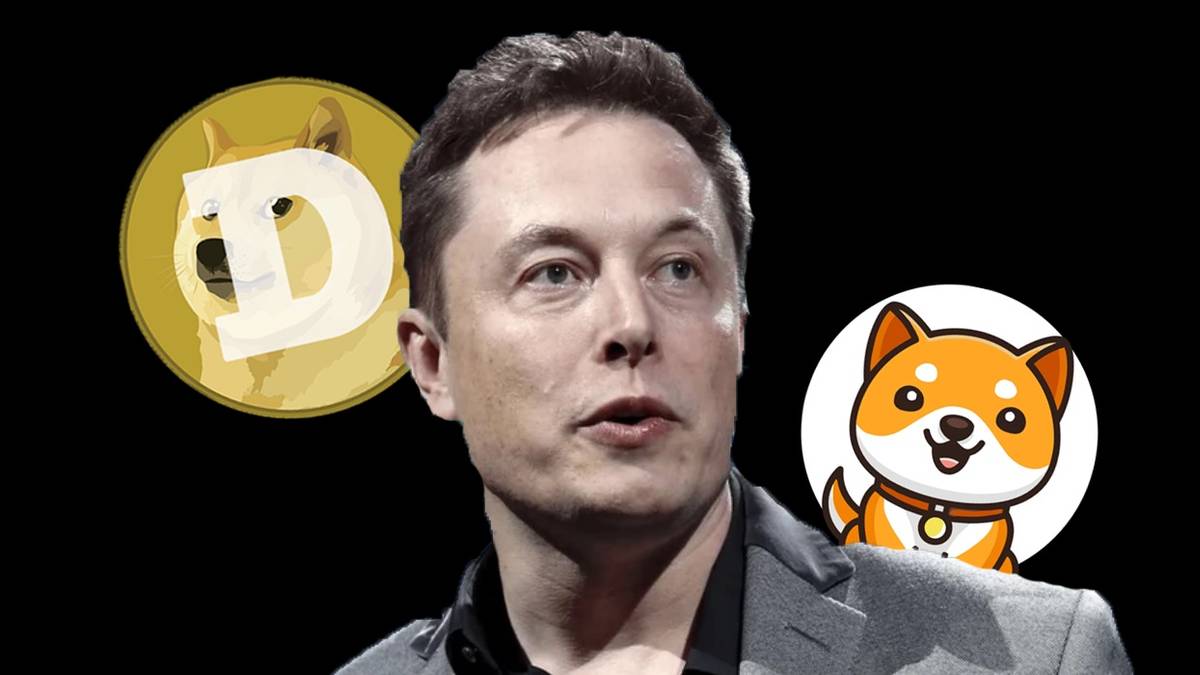 Dogecoin & Baby Doge: Is The Elon Musk Effect Coming To An End?