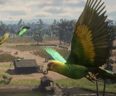 Parrot Rdr2 10 Red Dead Redemption 2 Animals That Are Way Too Hard To Hunt