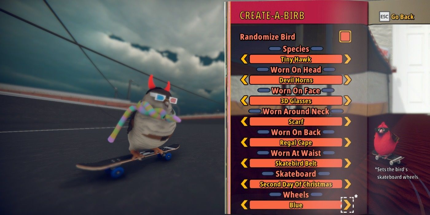 Megan Fox Interview: SkateBIRD