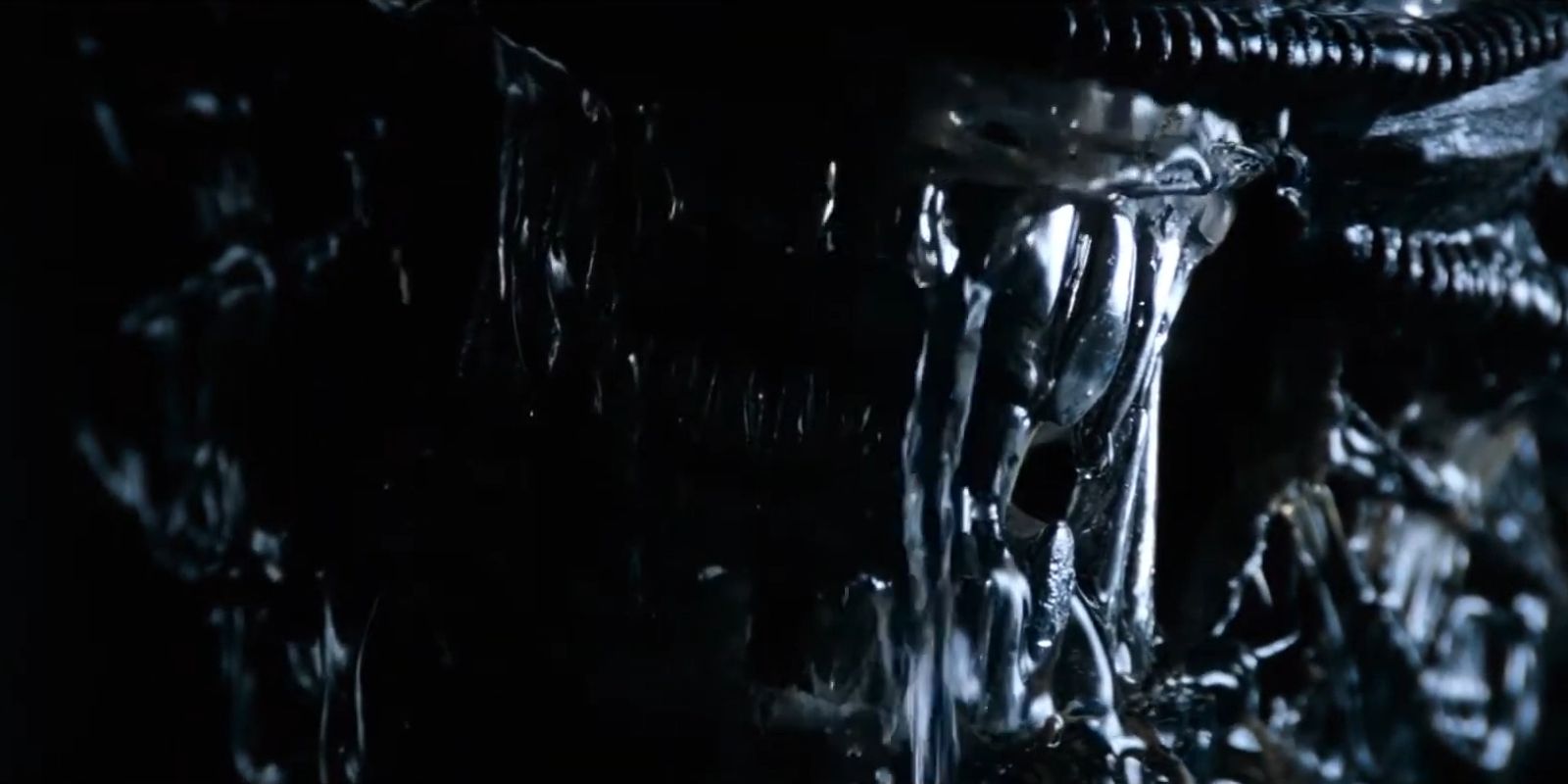 Alien 10 Important Things About The Xenomorph Designs That You Missed