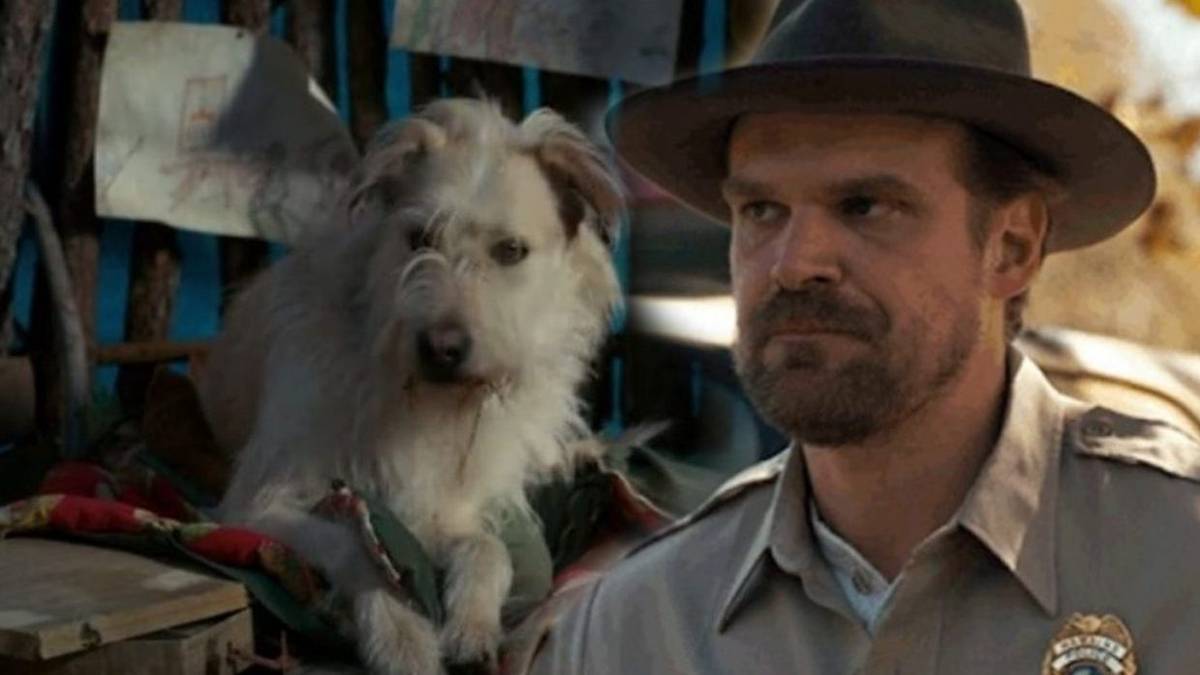 David Harbour Says He Hated The Family Dog Chester In Stranger Things