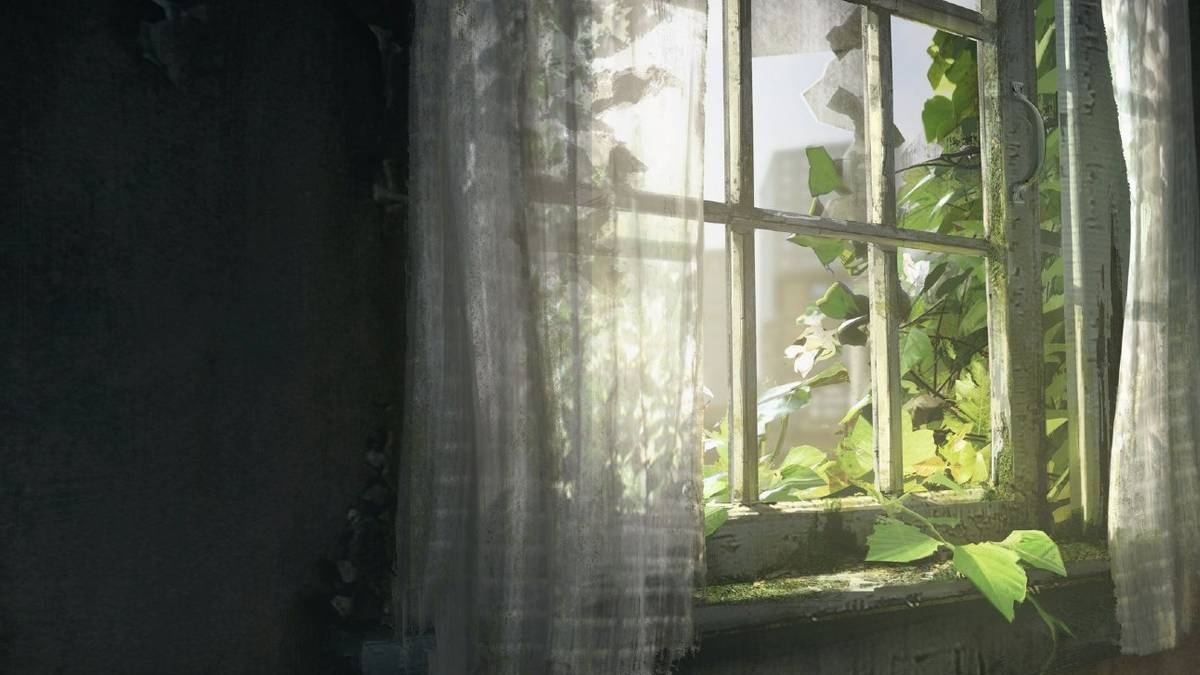 Last of Us Home Screen Eerily Matches Player's Real Window