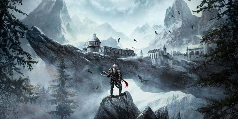 The Nord Warrior from ESO stands in front of Solitude.