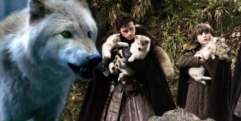 Game Of Thrones: 10 Facts Only Book Fans Know About The Starks