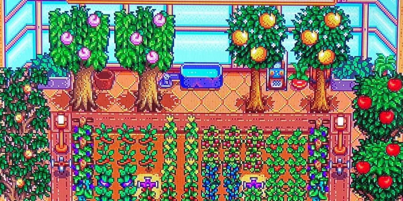 Stardew Valley: стоит ли сажать семена клубники или подождать год?