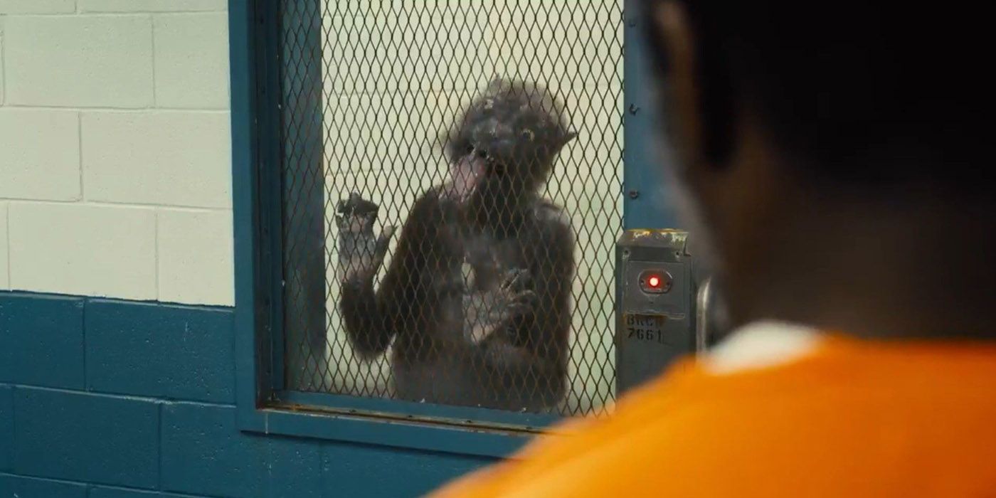 Weasel licking a window in The Suicde Squad movie