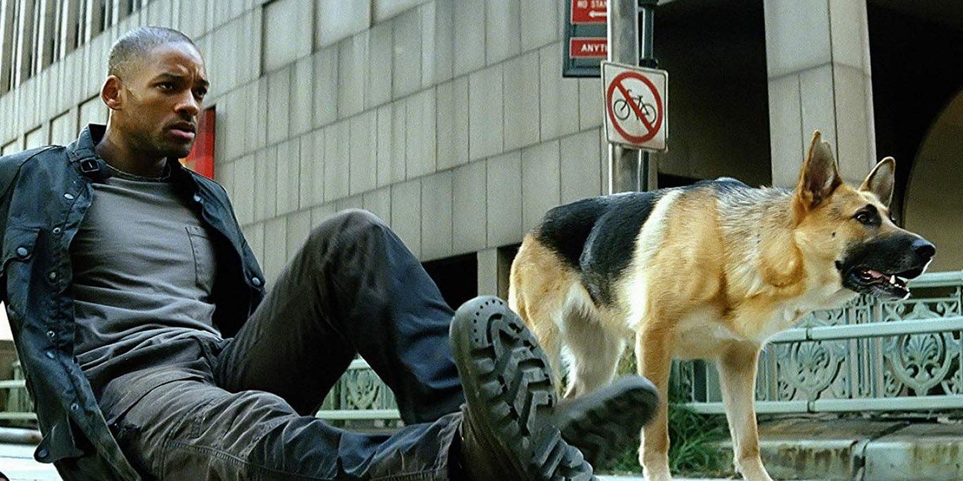 Will Smith and his dog hunting vampires in I am Legend