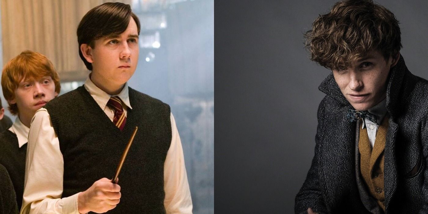 Harry Potter Meets Fantastic Beasts 5 Friendships That Would Work (& 5 That Wouldnt)