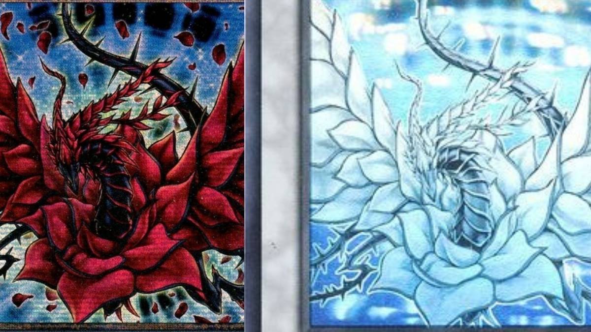 how to tell a pokemon card is first edition 401 Games Canada - Ancient Fairy Dragon - ANPR-EN040 - Ghost Rare