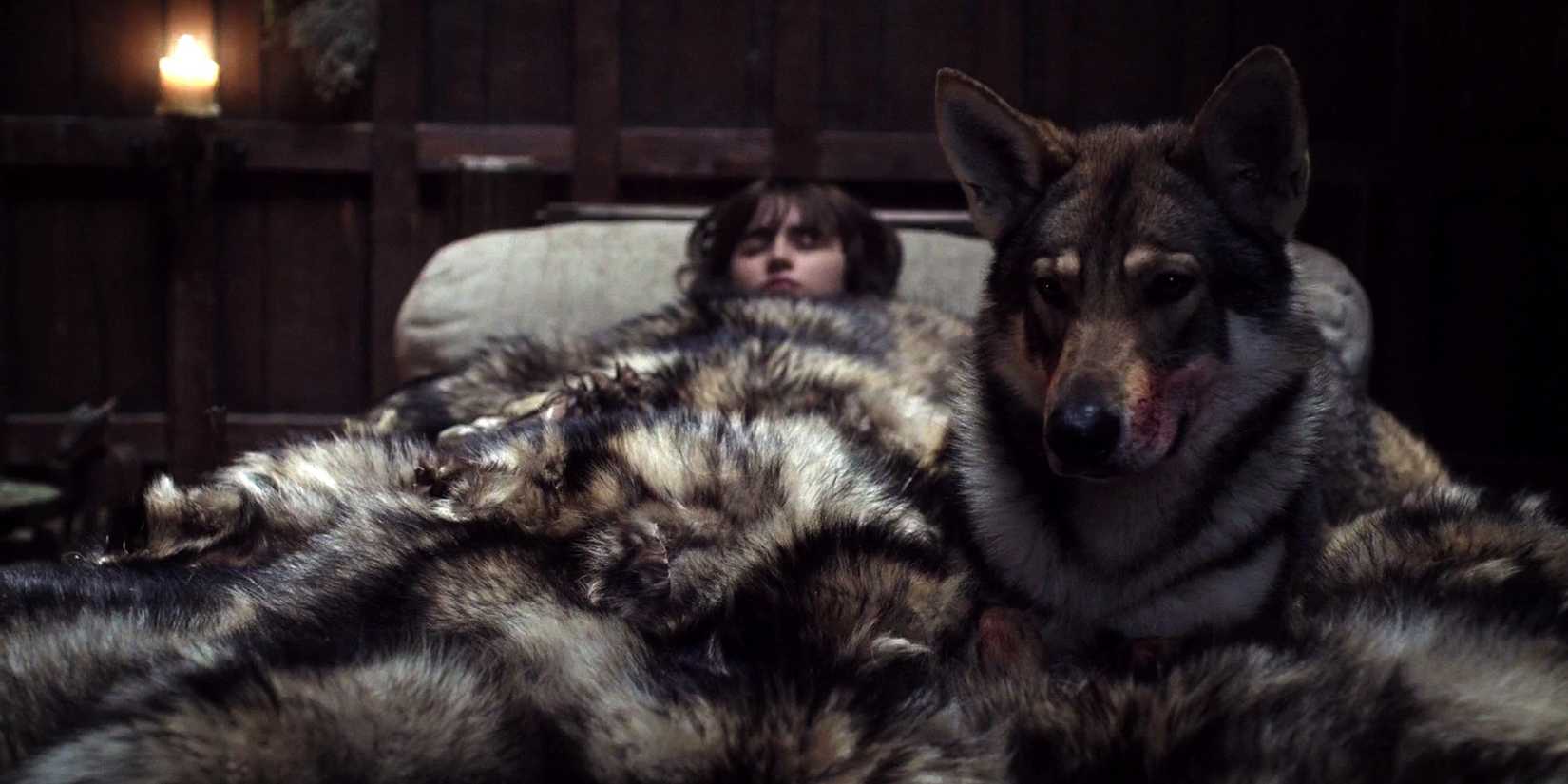 Bran na cama com seu lobo gigante em Game of Thrones