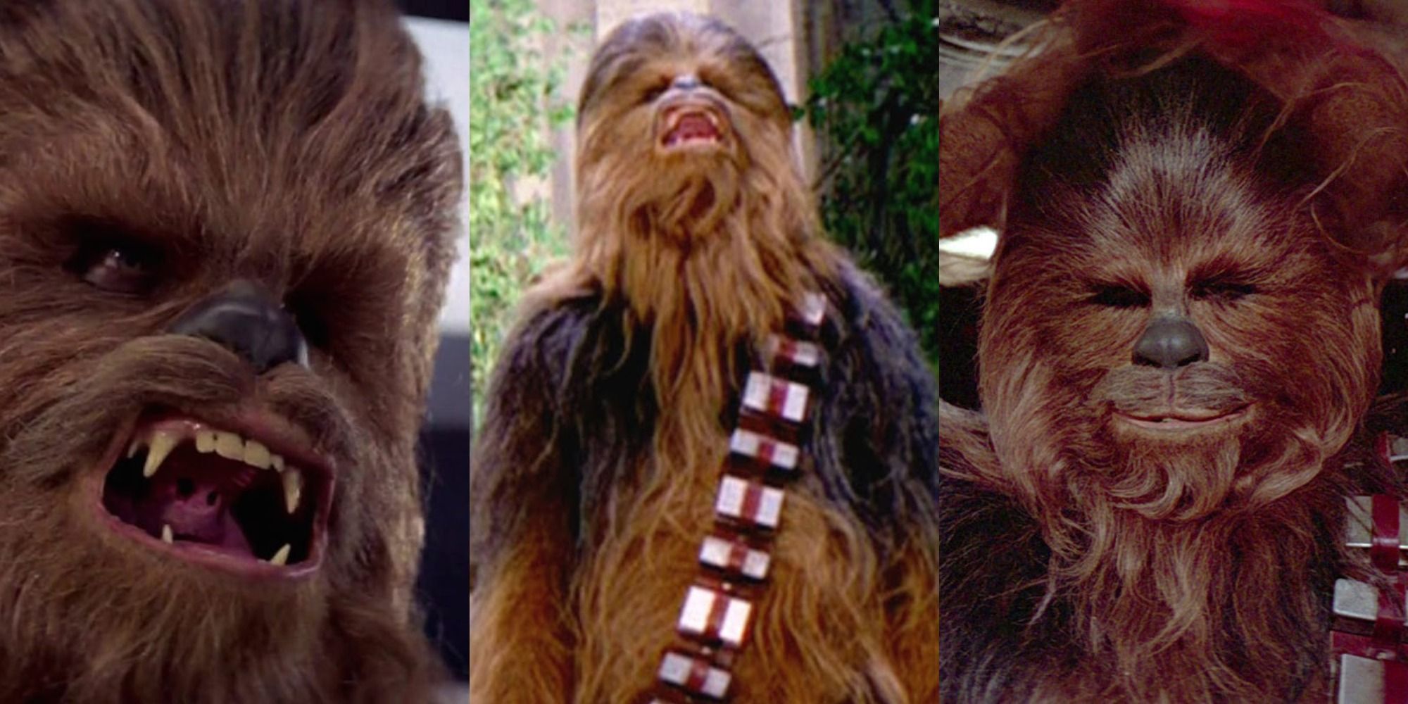 Star Wars: Unpopular Opinions About Chewbacca (According To Reddit)