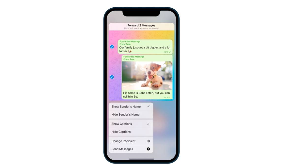 Flexible Forwarding: How To Customize A Telegram Message Before Sending