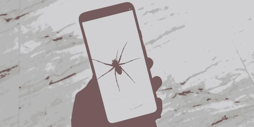 Virtual Spiders In This App Might Help You Overcome The Spider Scare