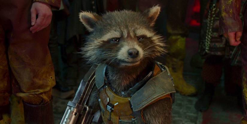 10 Quotes That Prove Rocket Raccoon Is The Saddest Guardian Of The Galaxy
