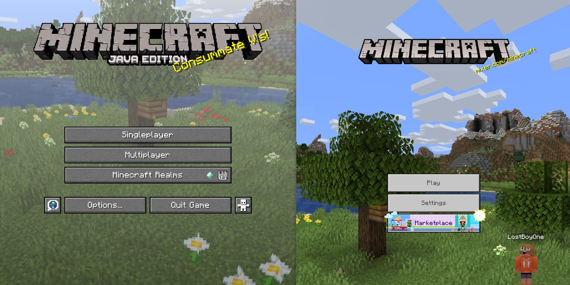 How Minecraft S Java And Bedrock Editions Are Different