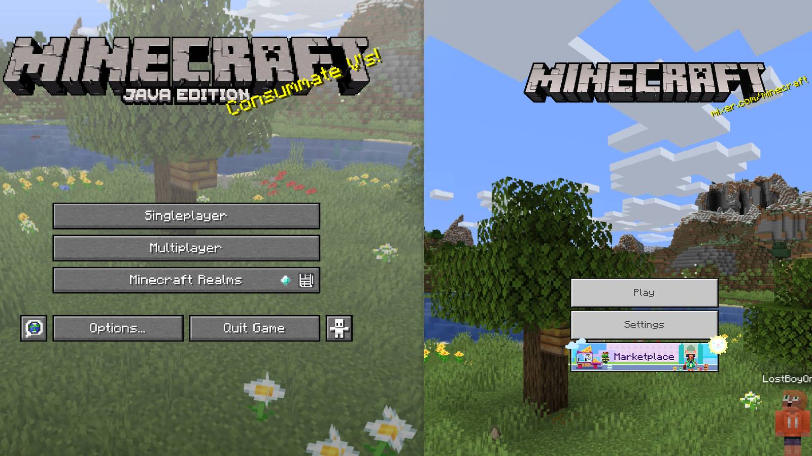 How Minecraft's Java And Bedrock Editions Are Different