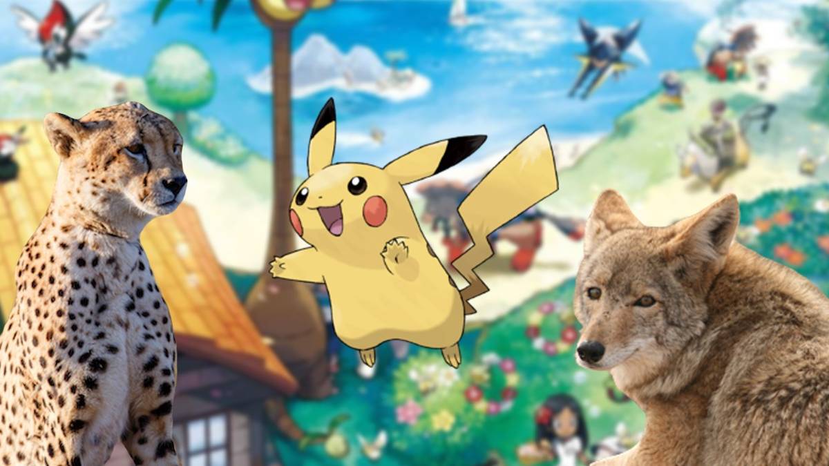 Pokémon Gen 9: What Real-World Animals Could Inspire Starters