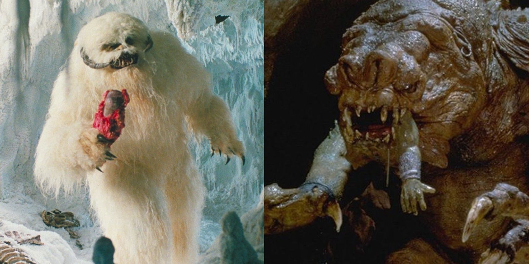 Star Wars: The Wampa & The 7 Of The Other Most Terrifying Creatures From  The Original Trilogy