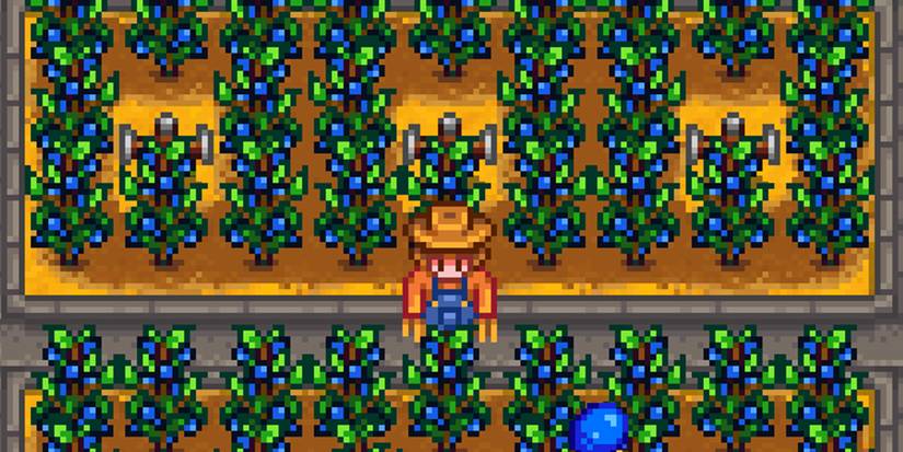 Stardew Valley: 10 Best Crops To Plant