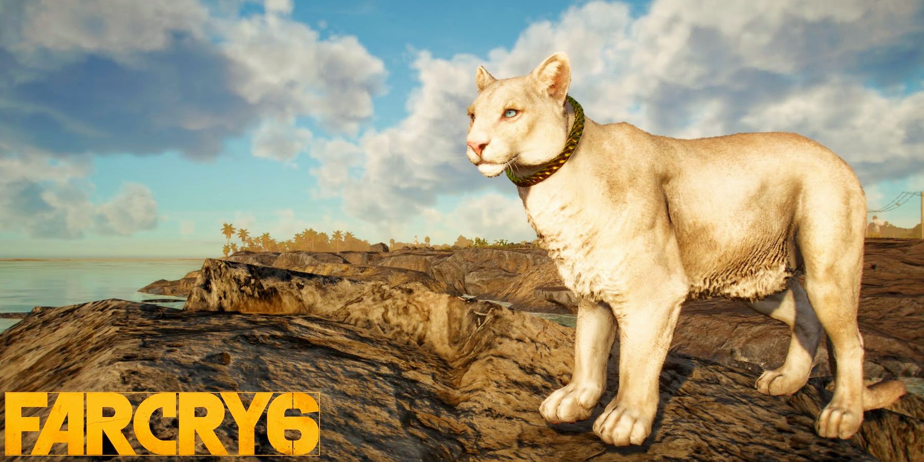 Far Cry 6 How to Get Every Animal Companion (Amigos)