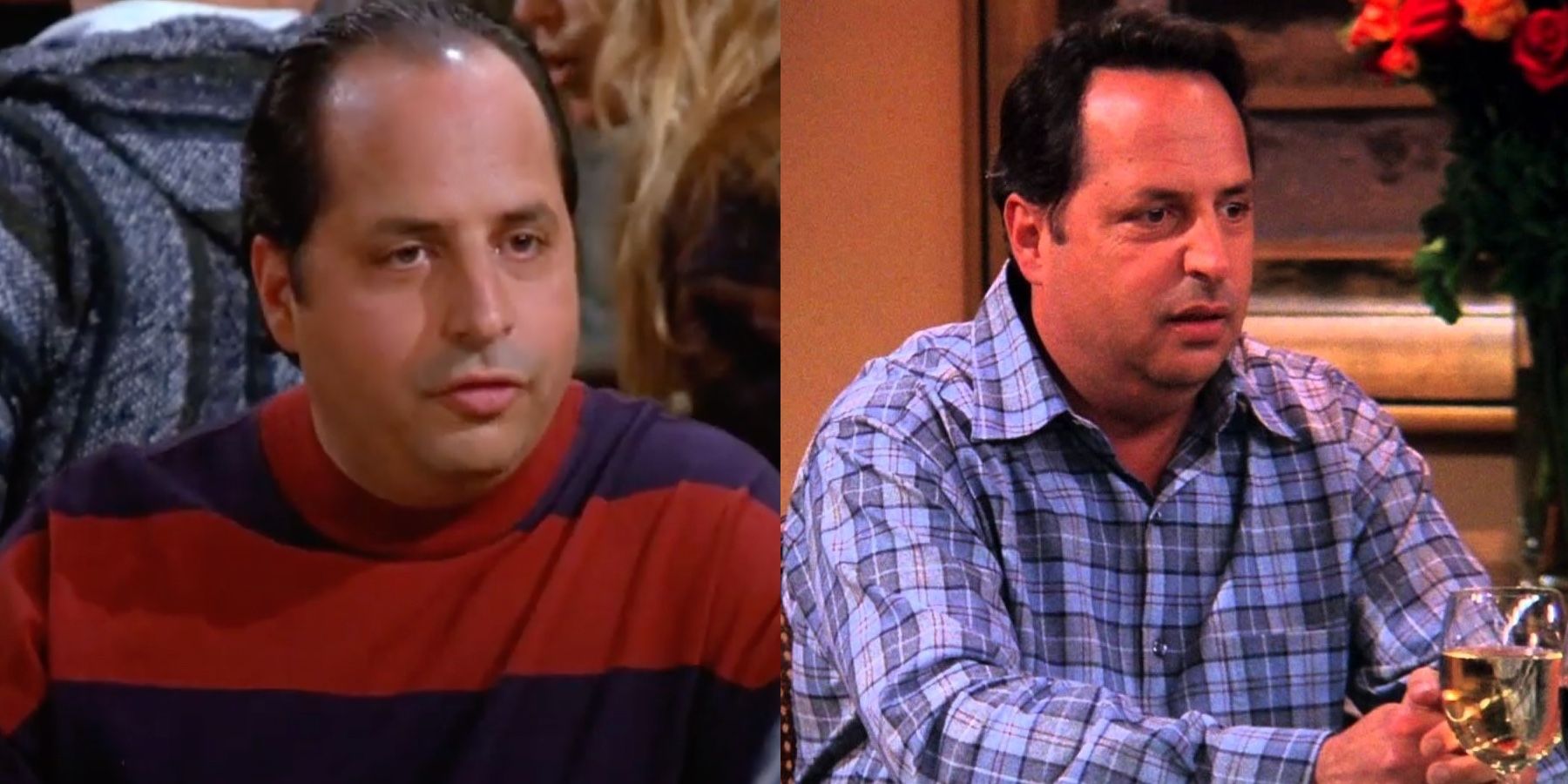Every Actor Who Appeared On Friends & Seinfeld